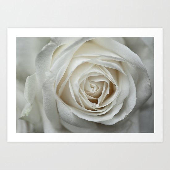 White Rose 9419 Art Print