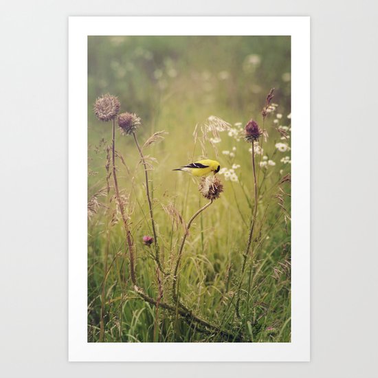 Life in the Meadow Art Print