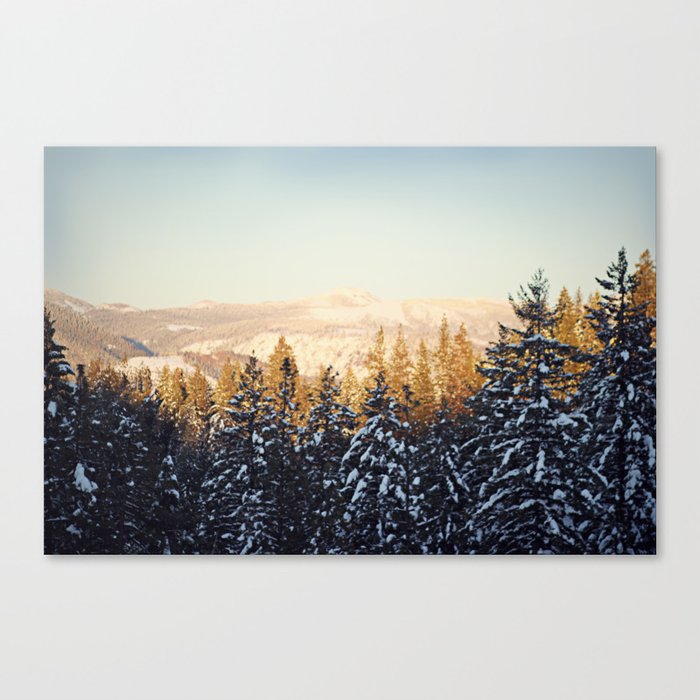 Winter Wonderland Canvas Print