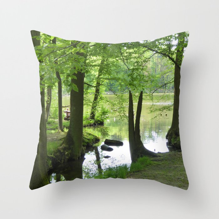 Forest with Creek scenery photo Throw Pillow