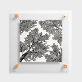 Sea Fan Coral – Black Floating Acrylic Print