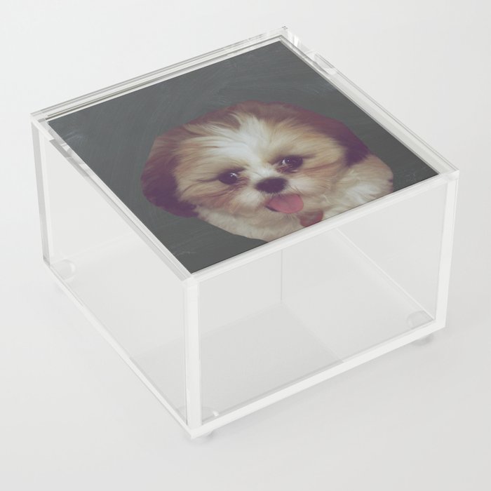 Little Pup Acrylic Box