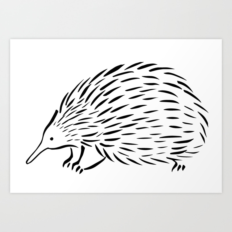 Echidna Art Print By Green Penguin | Society6