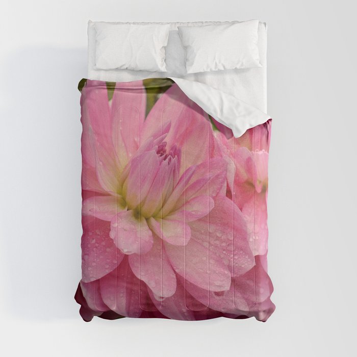 Fresh Rain Drops - Pink Dahlia Comforter