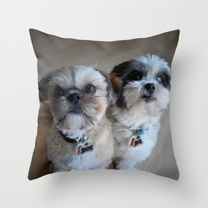 Cute Boys Throw Pillow