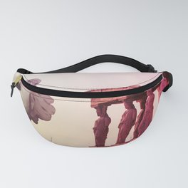 Mount Olympus Fanny Pack
