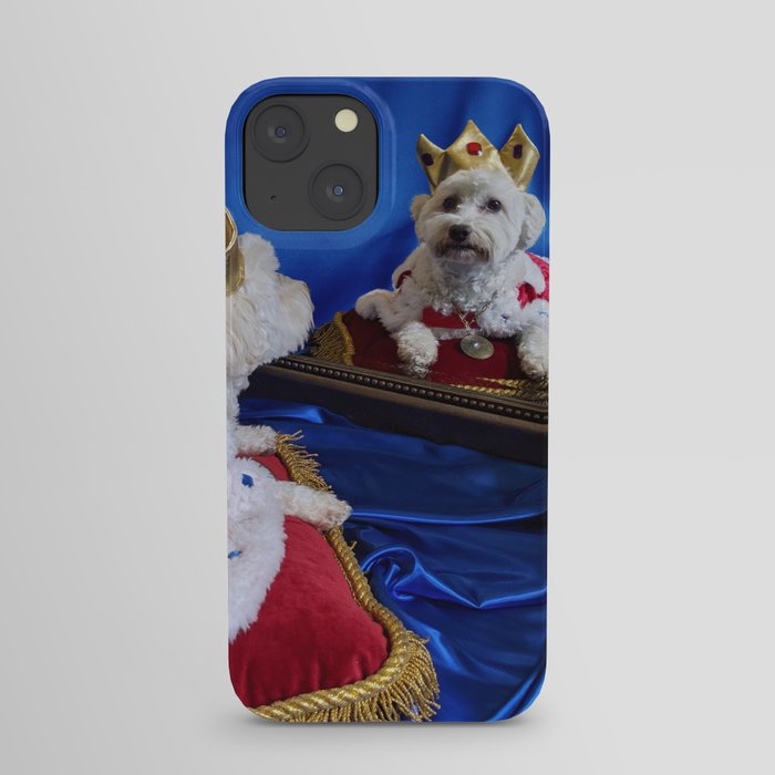 King Max Contemplating His Royal Duties iPhone Case