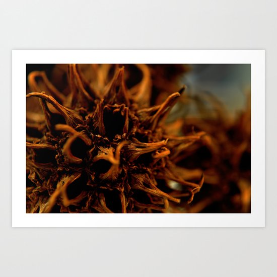 Pod Art Print