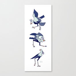 SECRETARY BIRD Canvas Print