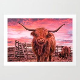 Highland Cow Pink Sunset Art Print