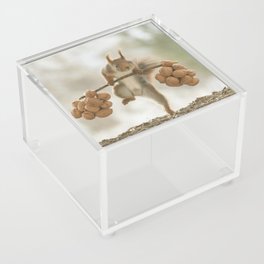 Squirrel the nut carrier Acrylic Box