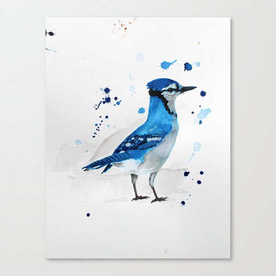 Blue Jay Canvas Print