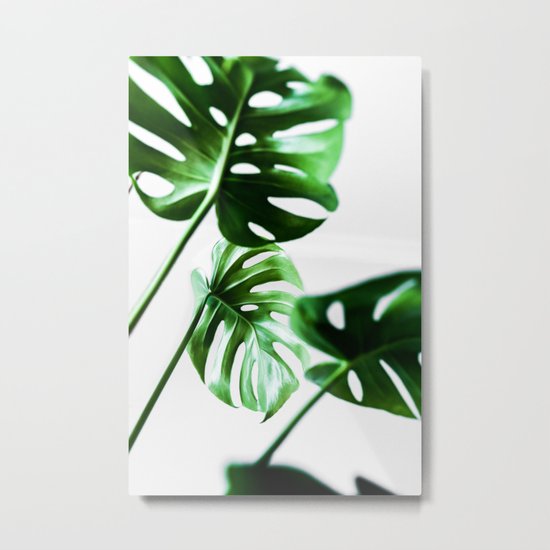 Monstera 4 Metal Print