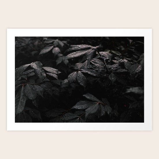 Black Leaf Art Print