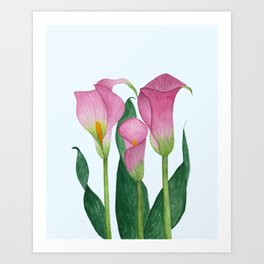 Pink Calla Lily Trio Art Print