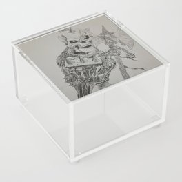 Skull Acrylic Box