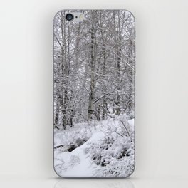 Snowy trees iPhone Skin