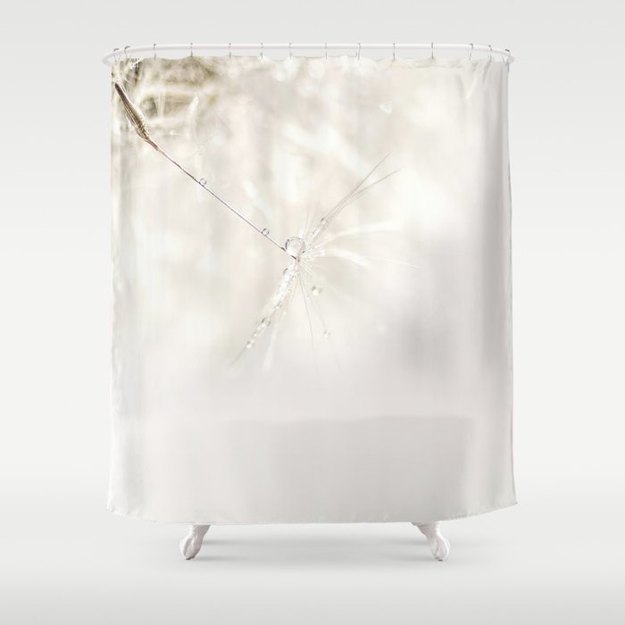 Sparkling dandelion seed head with droplet Shower Curtain