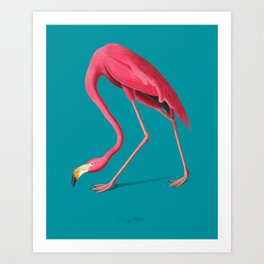 Vintage Pink Flamingo  Art Print