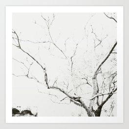 Lines #3 Art Print | Nature, Branches, Tree, Sketch, Lines, Longexposure, Photo, Blackandwhite, Digital, Winter 