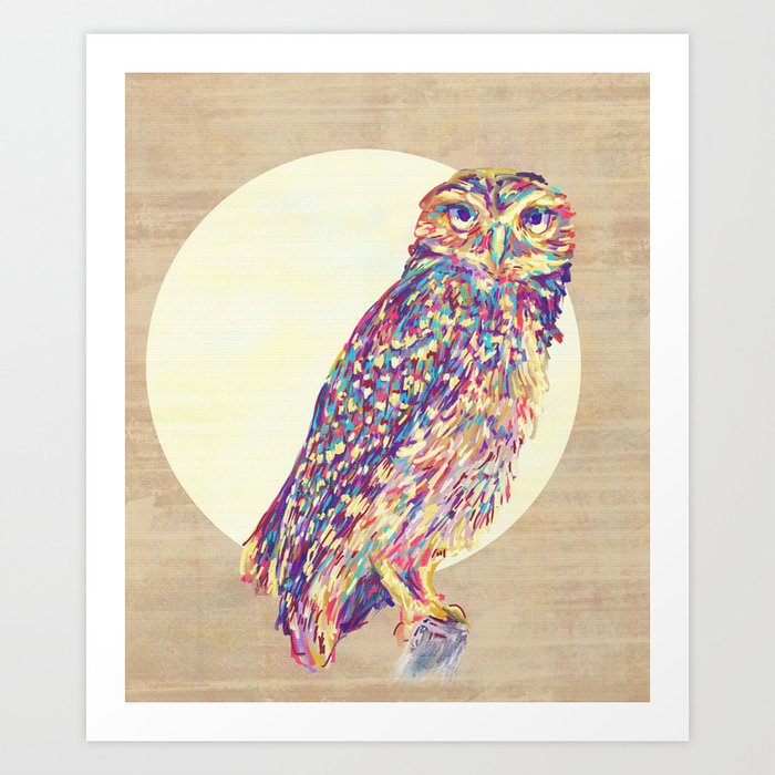 Owl  Art Print