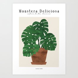 Monstera Deliciosa Art Print