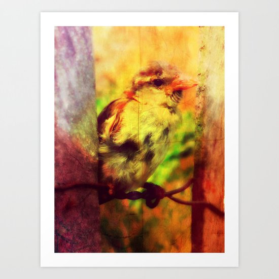 little bird. Art Print