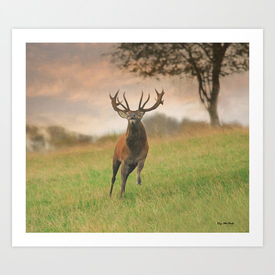 Charging Stag Art Print