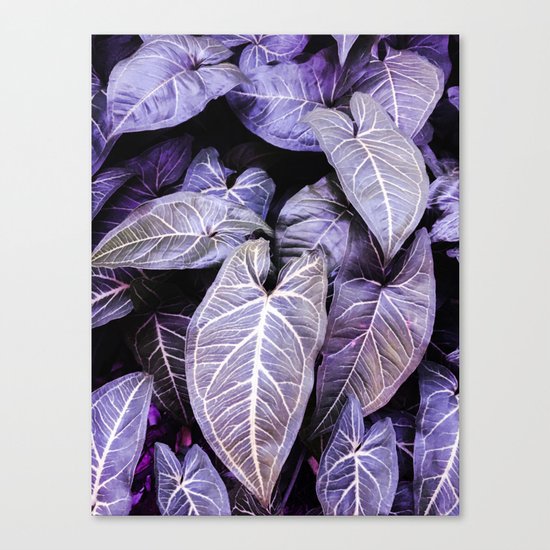 Jungle leaf - amethyst Canvas Print