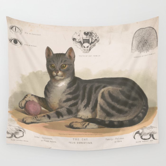 Vintage Illustration of a Domestic Cat 1872 Wall Tapestry by