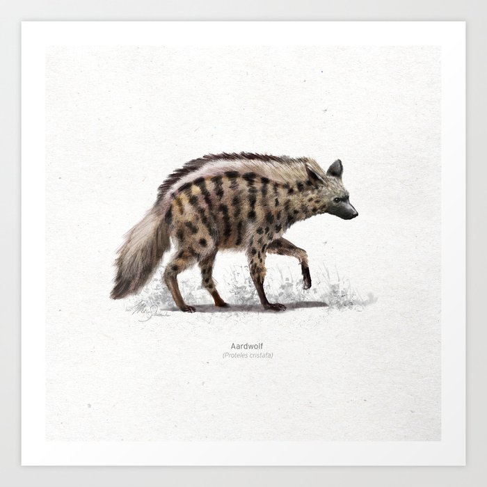 Art Print
