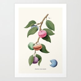 Macaron Plant Art Print