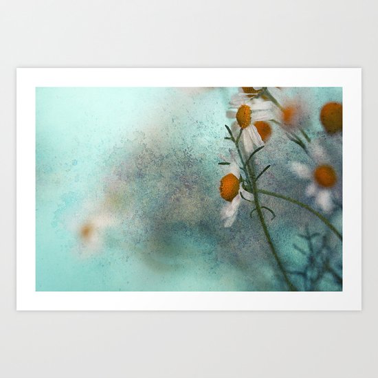 Daisies Art Print