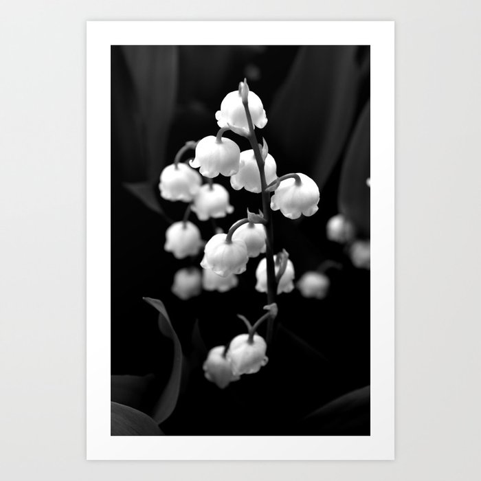 Lilies of the Valley Art Print