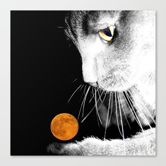 Silver Cat and Moon Canvas Print