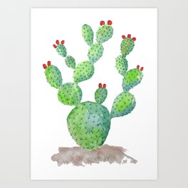 Cactus IV Art Print