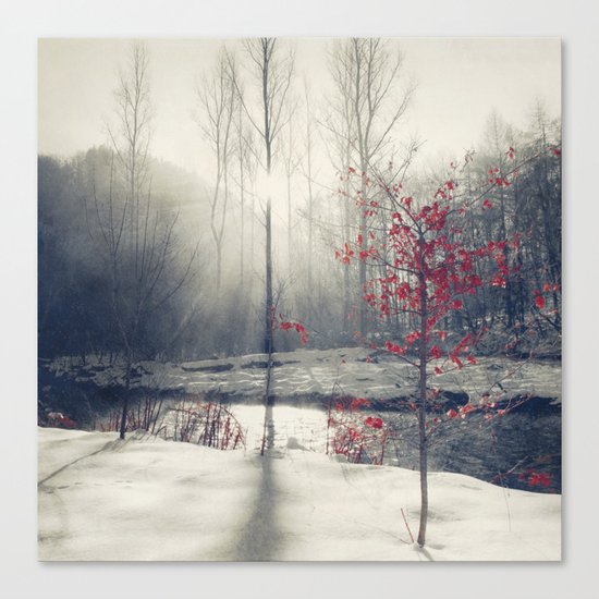 winter's rHapsody Canvas Print