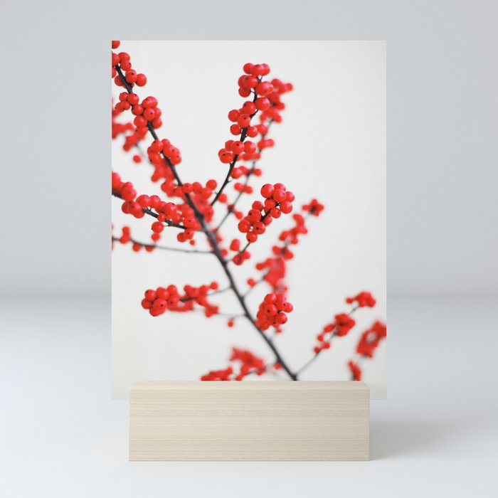 Red Berries Mini Art Print