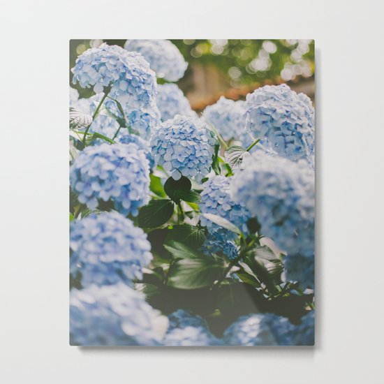 Little Blue Metal Print