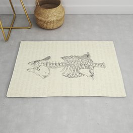 Vintage Anatomy Bones of the Trunk Area & Throw Rug