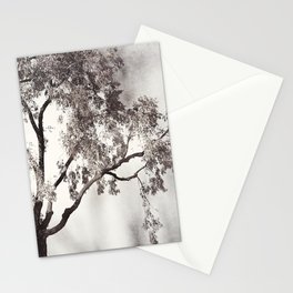 Black and White Tree Branches Photography, Grey Nature Neutral Branch, Gray Mysterious Dark Spooky Stationery Cards