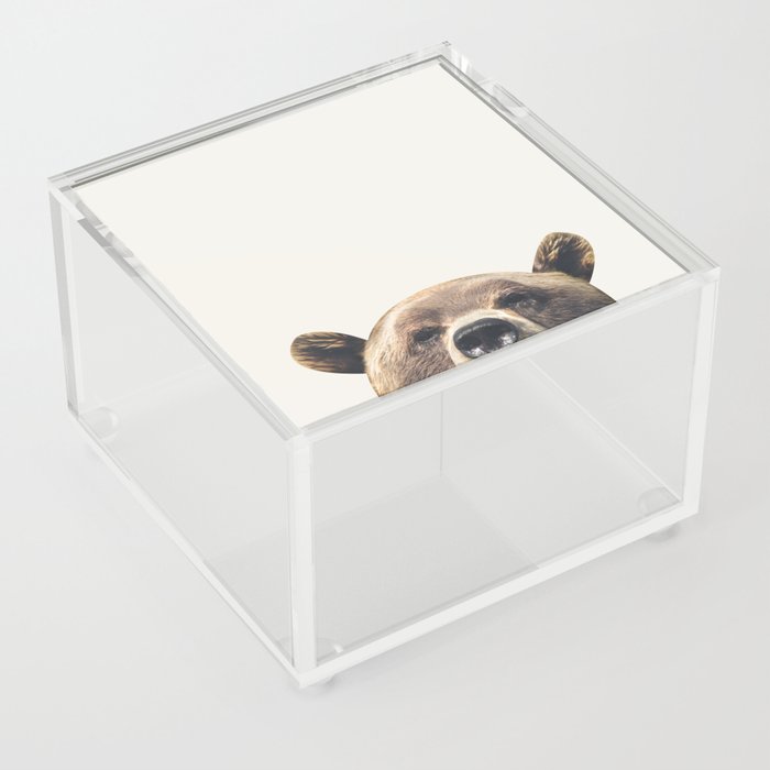 Bear Acrylic Box