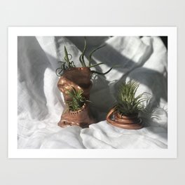 Plants x 2 Art Print