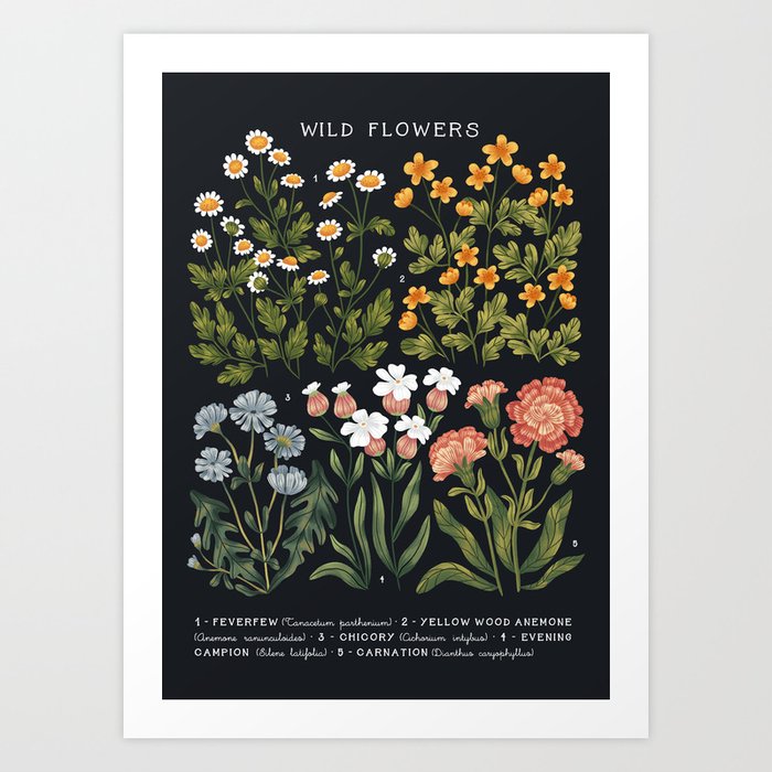 Wild Flowers ~ vol4. ~ dark vintage inspired botanical  Art Print