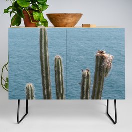 Mexico Photography - Cactuses At The Coast Of Mexico Credenza