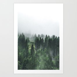 Foggy Forest Art Print