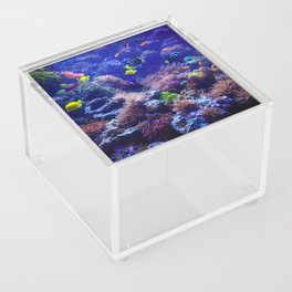 Underwater Photography Fish Tank Acrylic Box