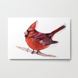 Red Cardinal-Bird Painting Metal Print