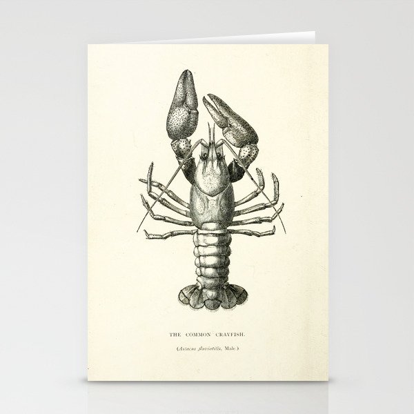 Crayfish (1895) Stationery Cards