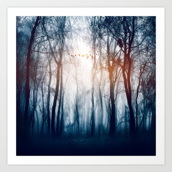 Morning Colours Art Print